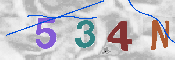 CAPTCHA Image