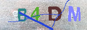 CAPTCHA Image