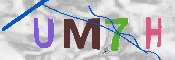 CAPTCHA Image